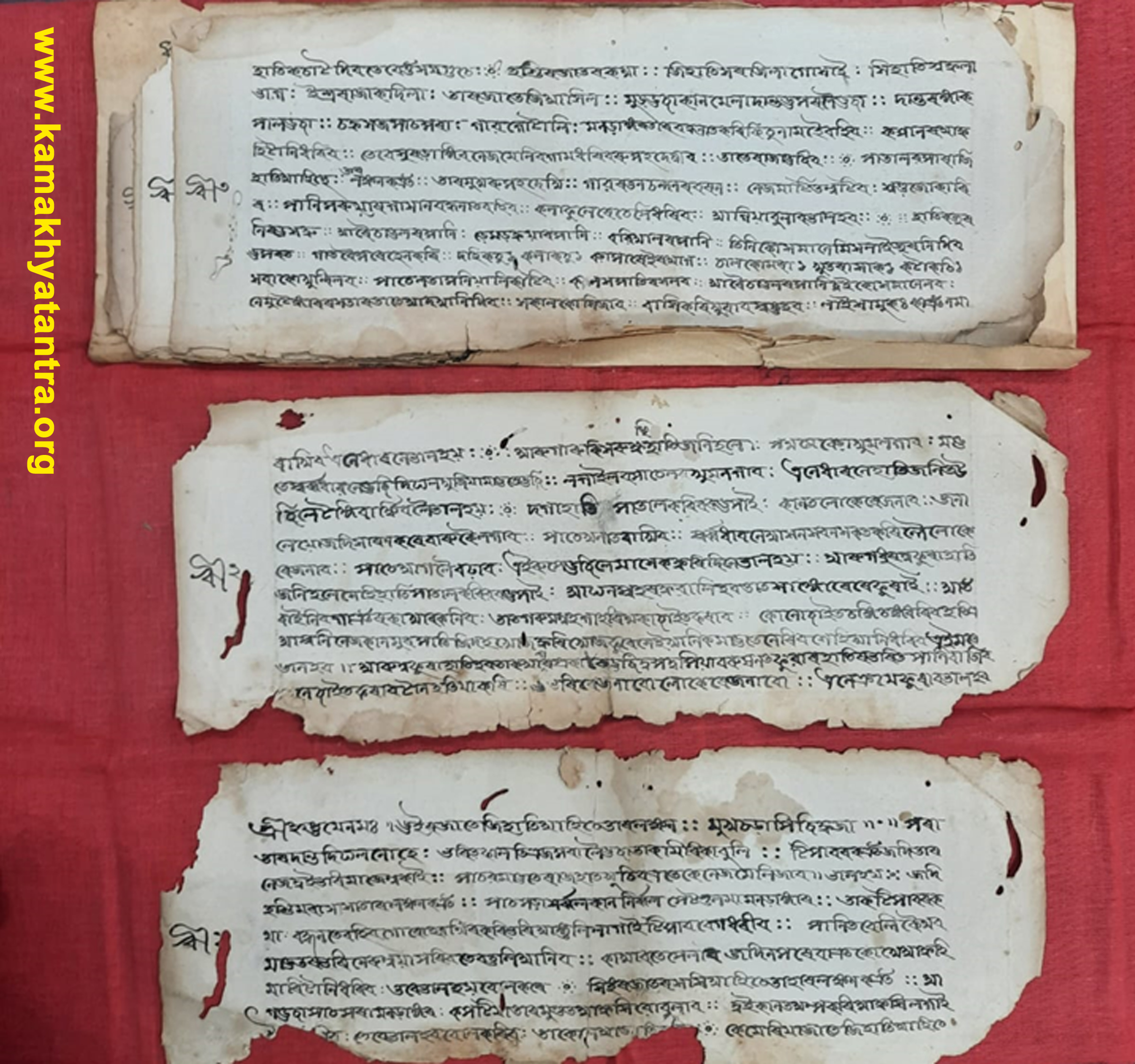 Research assistance Kamakhya Temples scholars